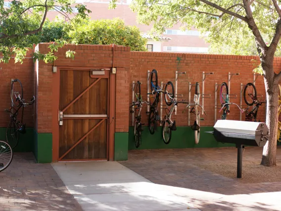 Coconino exterior
