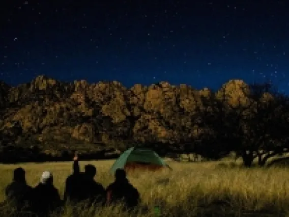 Field at night