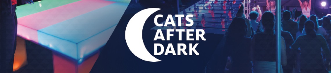 Cats after dark
