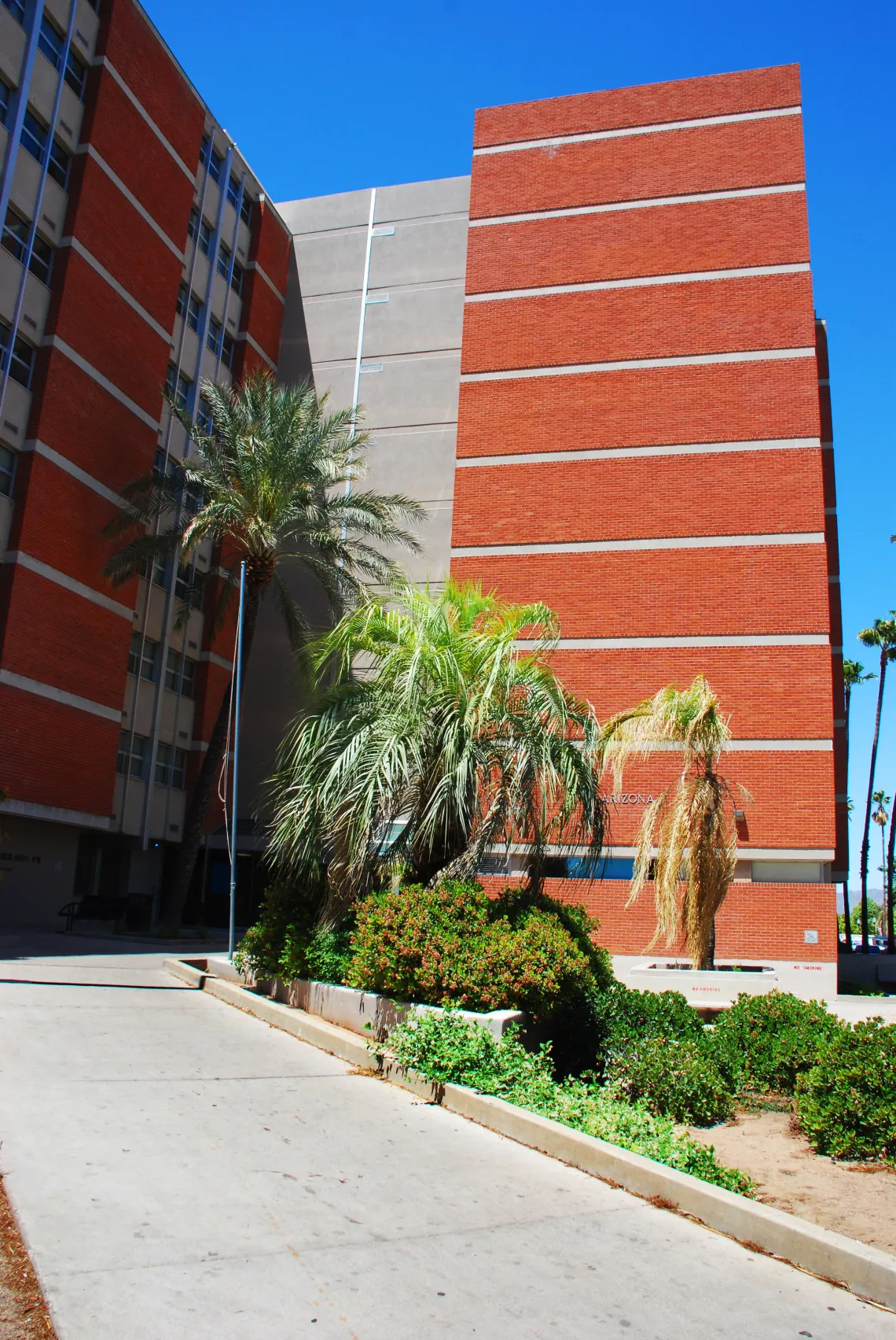 arizona sonora dorm