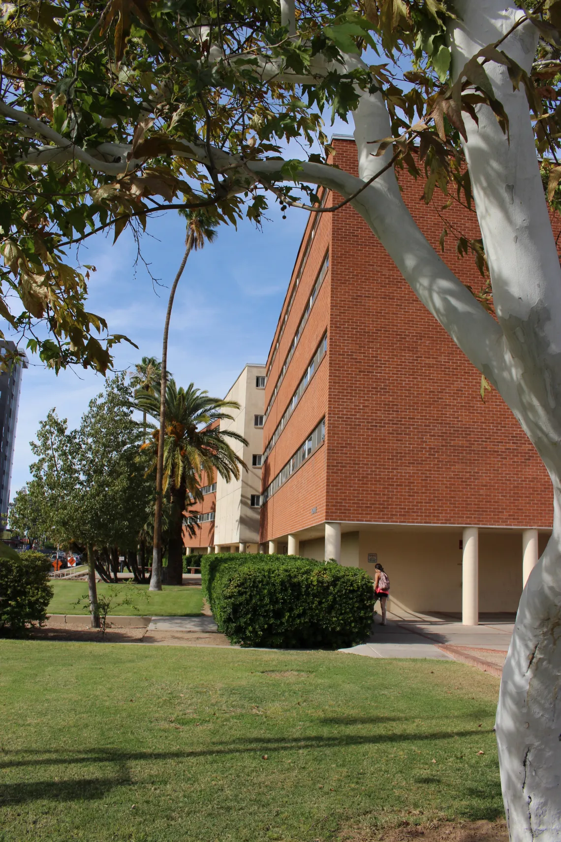 Manzanita-Mohave exterior