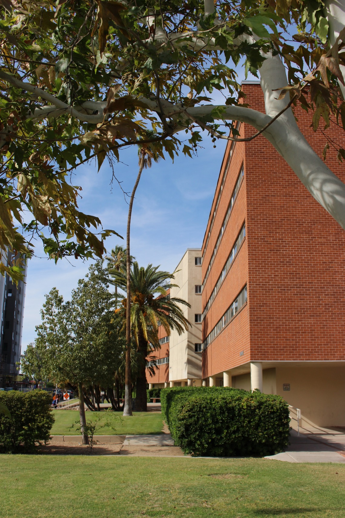 Manzanita Hall at Arizona State University, 2014-11-15
