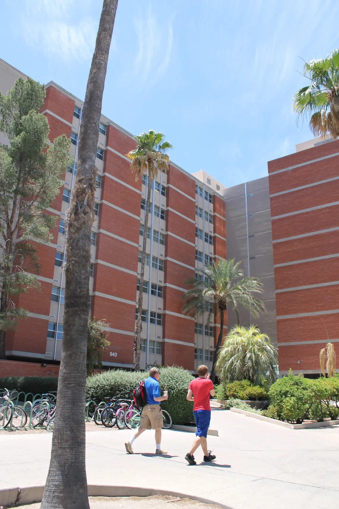 arizona sonora courtyard