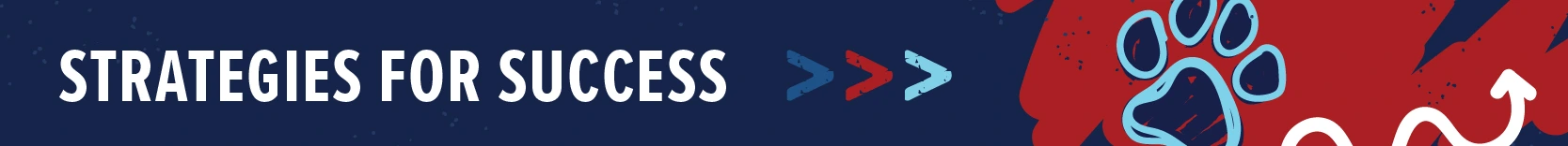 header that says strategies for success