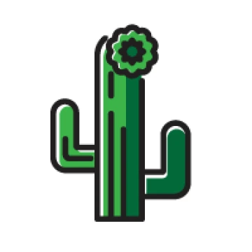 Cactus with flower